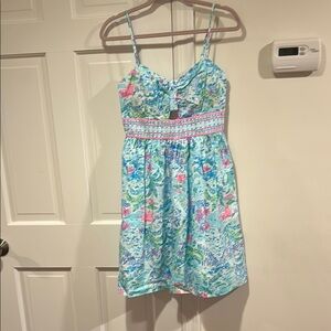 Net Lilly Pulitzer Katlynn dress